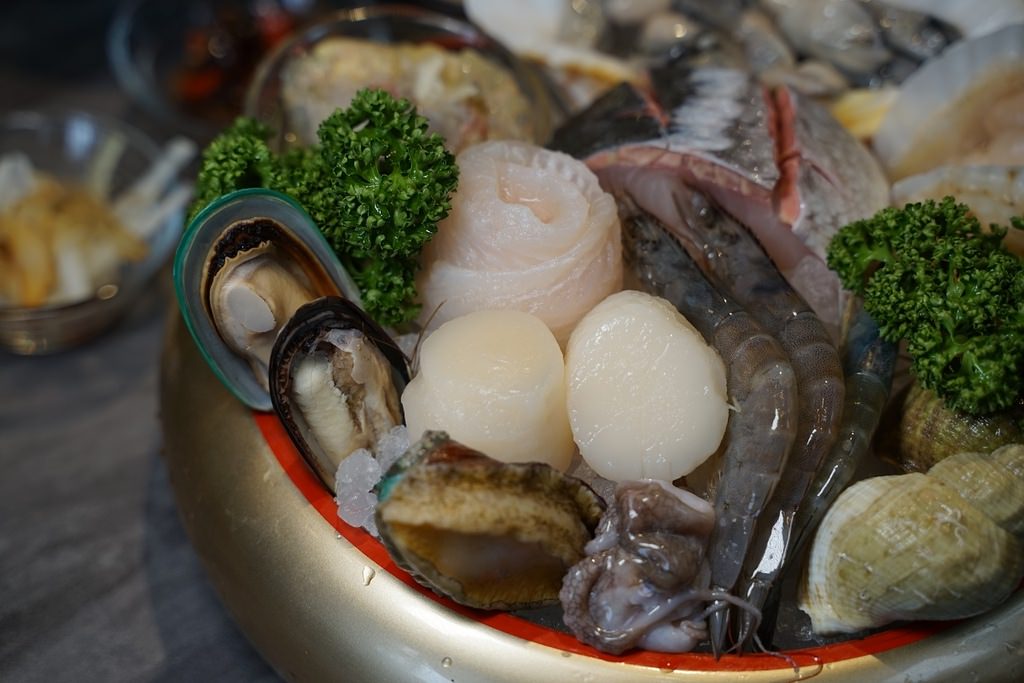 【青埔火鍋推薦】天天鮮魚蛤蜊提煉湯頭 青埔平價海鮮拼盤 食鍋性也海鮮鍋物