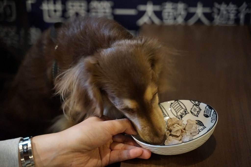 【板橋居酒屋推薦】板橋寵物友善餐廳好選擇 新板特區第一家和風洋食餐酒館 三颯舞串燒居酒屋 【板橋居酒屋推薦】板橋寵物友善餐廳好選擇 新板特區第一家和風洋食餐酒館 三颯舞串燒居酒屋
