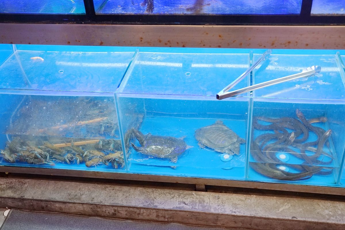 【板橋美食推薦】招牌料理生米明火煲粥 活海鮮料理美味必點 稻香園陳記潮汕砂鍋粥板橋三民店 - 第4張圖 【板橋美食推薦】招牌料理生米明火煲粥 活海鮮料理美味必點 稻香園陳記潮汕砂鍋粥板橋三民店