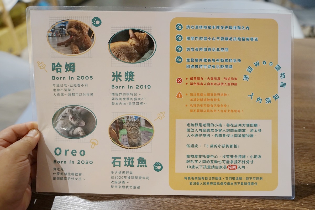 【內壢寵物餐廳推薦】內壢咖哩飯好選擇 寵物友善內建可愛貓咪房 添飯Woo