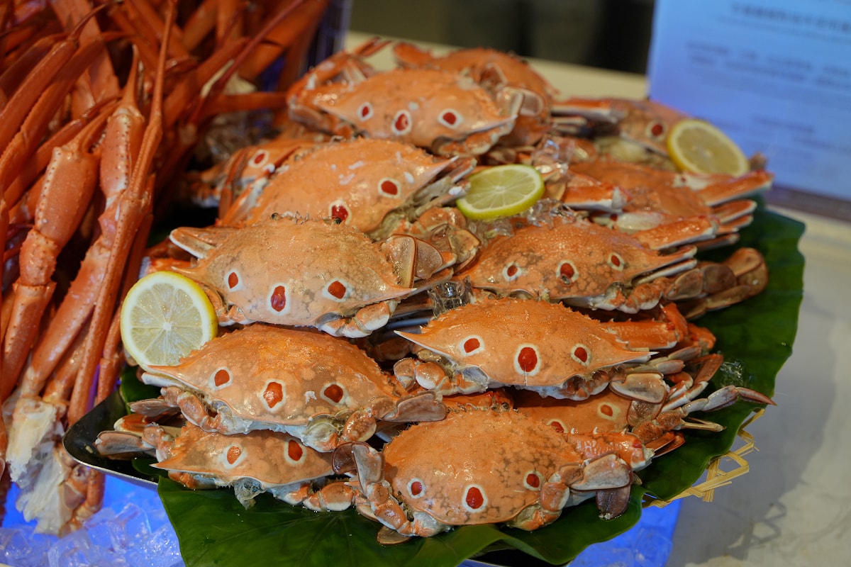 【Cozzi Market 逸·市集】青埔吃到飽餐廳推薦 海邊碼頭市集八大主題餐區全新進化