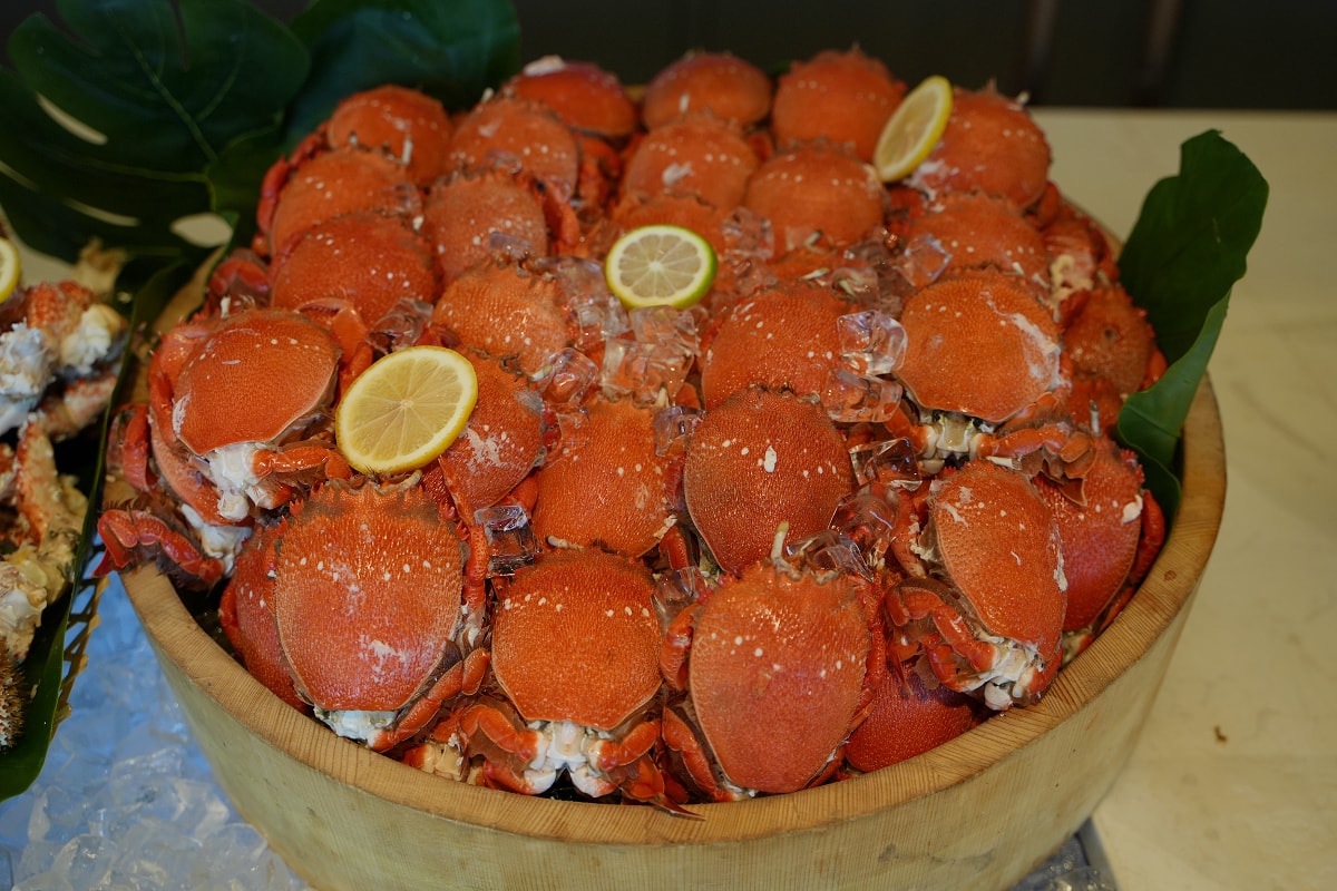 【Cozzi Market 逸·市集】青埔吃到飽餐廳推薦 海邊碼頭市集八大主題餐區全新進化