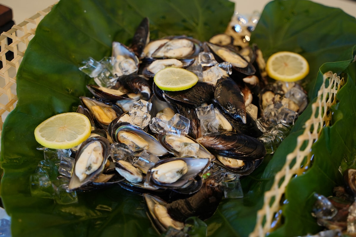 【Cozzi Market 逸·市集】青埔吃到飽餐廳推薦 海邊碼頭市集八大主題餐區全新進化