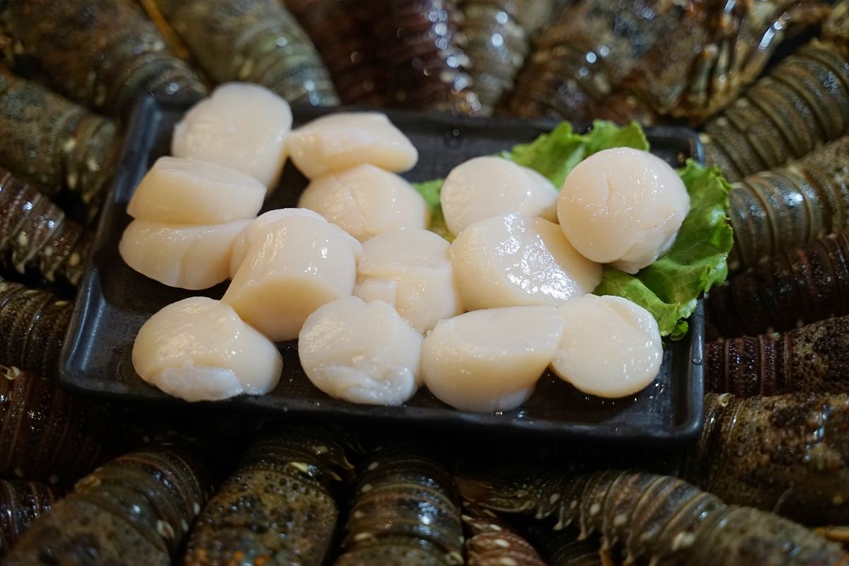 【桃園火鍋吃到飽推薦】日本生食級生蠔/青龍龍蝦吃到飽 桃園聚餐慶生包廂用餐首選 孫太太嚴選超市火鍋桃園店