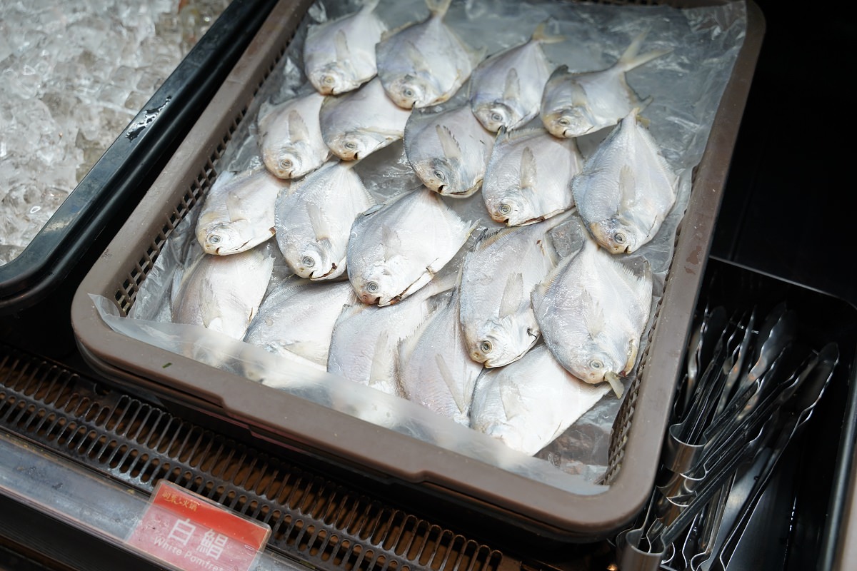 【三重火鍋吃到飽推薦】日本A5和牛/哈根達斯無限量供應 熟食百匯吃到飽 羽葉麻辣火鍋三重都會館