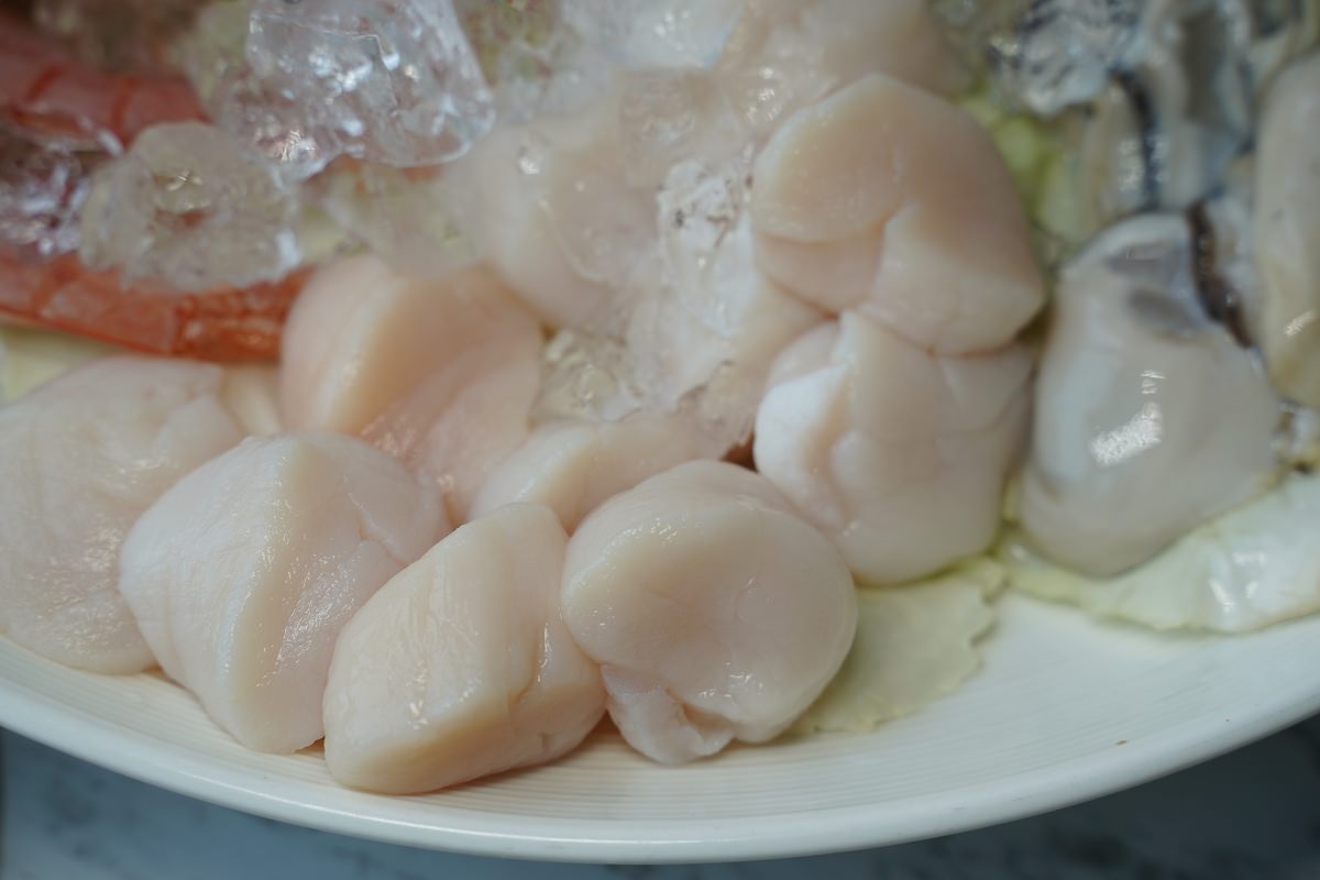 【三重火鍋吃到飽推薦】日本A5和牛/哈根達斯無限量供應 熟食百匯吃到飽 羽葉麻辣火鍋三重都會館