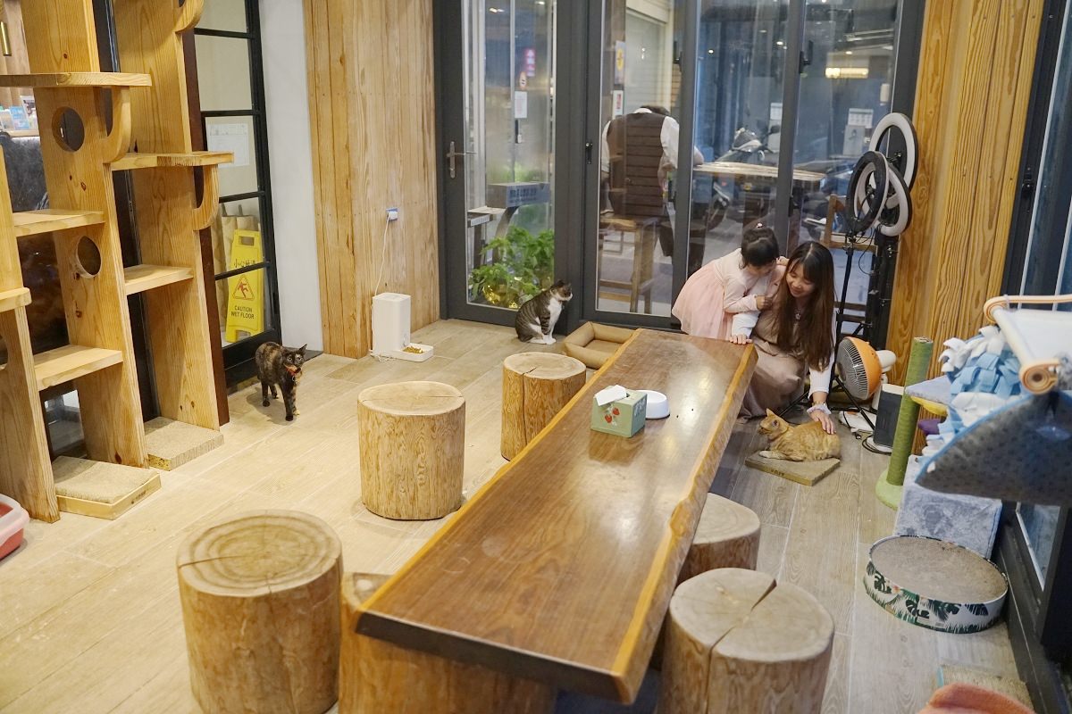 【礁溪溫泉飯店推薦】寵物友善貓奴必訪 宵夜自助吧吃到飽 美嘉美大飯店 - 第3張圖 【礁溪溫泉飯店推薦】寵物友善貓奴必訪 宵夜自助吧吃到飽 美嘉美大飯店