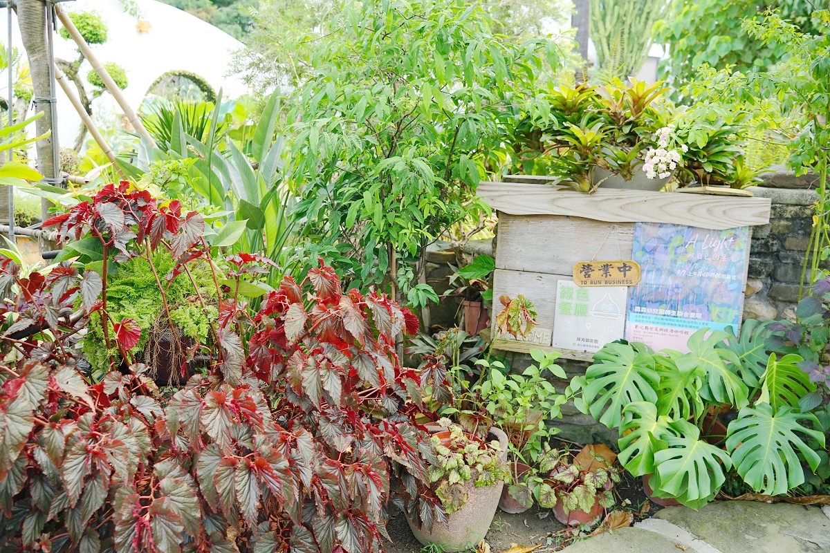 【彰化田尾景觀餐廳推薦】綠色植物海白色城堡建築 田尾地中海風格咖啡館 田尾綠海咖啡館