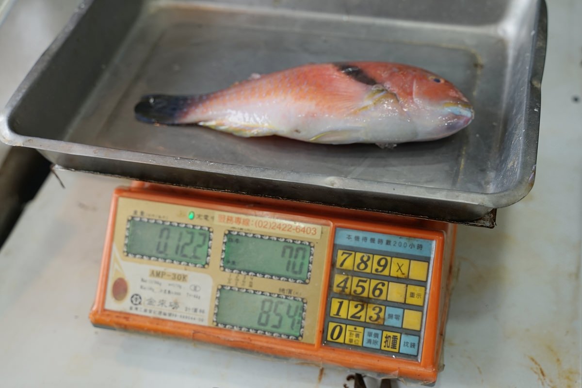 【野柳海鮮餐廳推薦】明碼實價活體海鮮 免費停車/白飯吃到飽 野柳望海亭海鮮餐廳 - 第9張圖 【野柳海鮮餐廳推薦】明碼實價活體海鮮 免費停車/白飯吃到飽 野柳望海亭海鮮餐廳