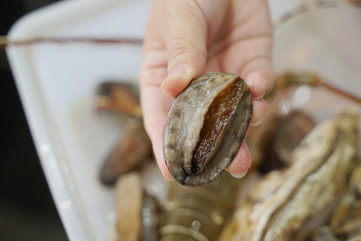 【野柳海鮮餐廳推薦】明碼實價活體海鮮 免費停車/白飯吃到飽 野柳望海亭海鮮餐廳 - 第13張圖 【野柳海鮮餐廳推薦】明碼實價活體海鮮 免費停車/白飯吃到飽 野柳望海亭海鮮餐廳