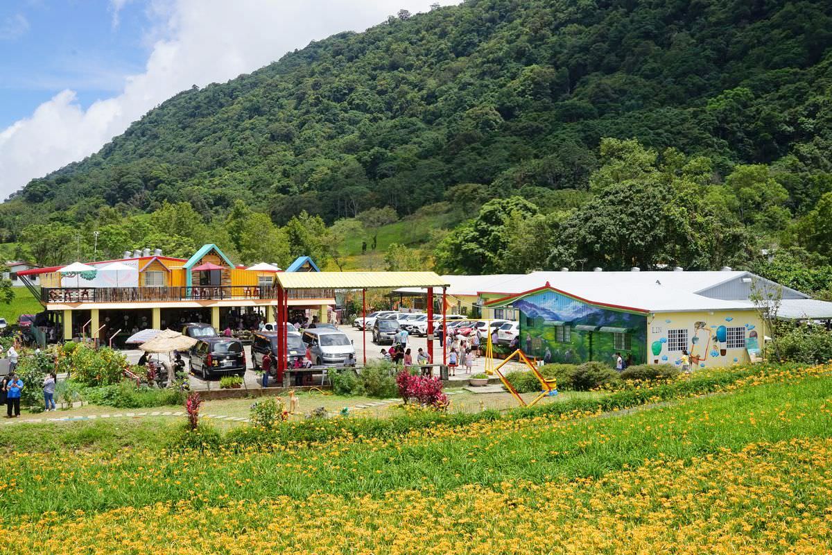 【赤科山網美景點推薦】網美造景金針花海 免費停車/在地金針小吃 赤科山林家園休閒農場