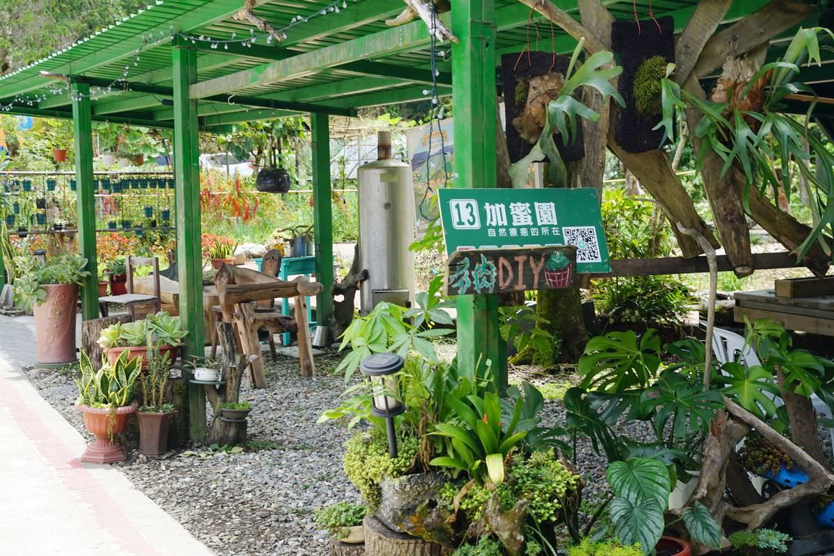 【赤科山美食餐廳推薦】金科花無菜單料理 多肉苔球手作DIY體驗 赤科山加蜜園 - 第5張圖 【赤科山美食餐廳推薦】金科花無菜單料理 多肉苔球手作DIY體驗 赤科山加蜜園