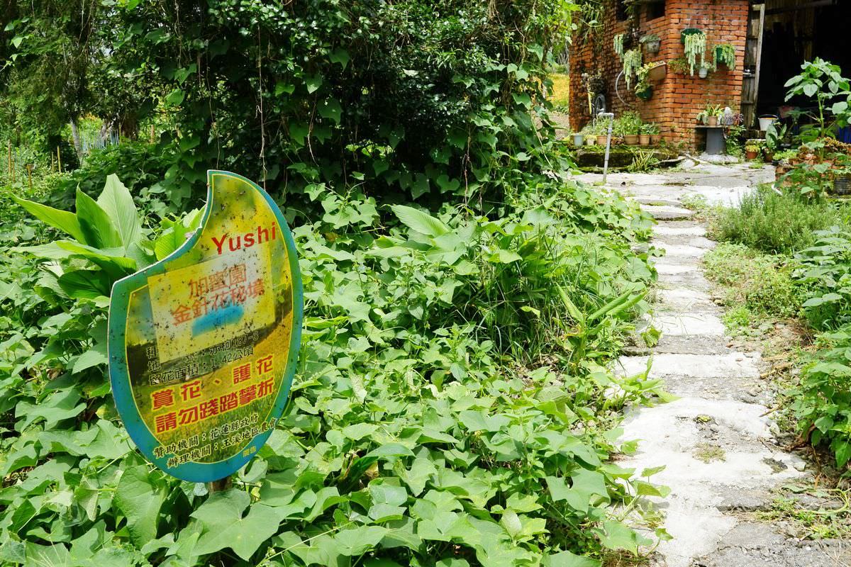 【赤科山美食餐廳推薦】金科花無菜單料理 多肉苔球手作DIY體驗 赤科山加蜜園 - 第23張圖 【赤科山美食餐廳推薦】金科花無菜單料理 多肉苔球手作DIY體驗 赤科山加蜜園