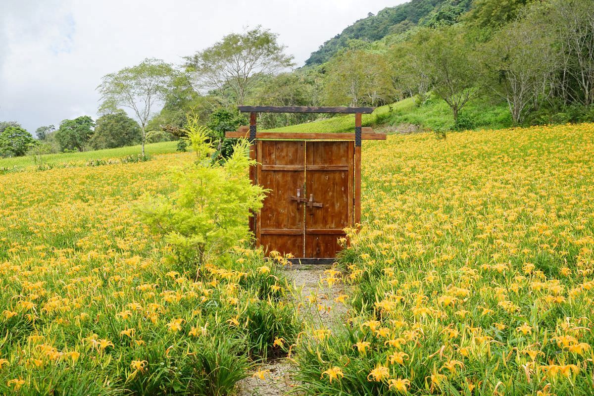 【赤科山美食餐廳推薦】金科花無菜單料理 多肉苔球手作DIY體驗 赤科山加蜜園 - 第25張圖 【赤科山美食餐廳推薦】金科花無菜單料理 多肉苔球手作DIY體驗 赤科山加蜜園