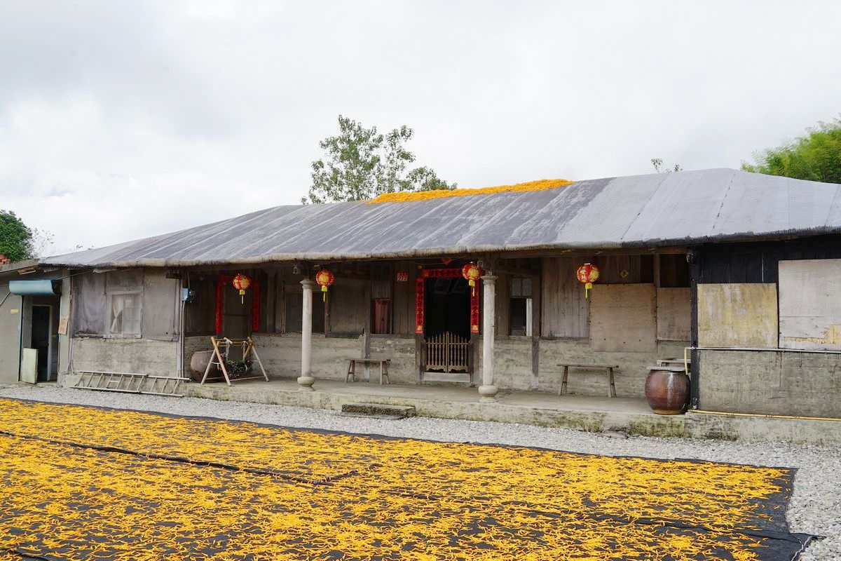 【赤科山三景推薦】茅油氈紙屋頂曬金針 50年歷史半木造四合院 汪家古厝 - 第6張圖 【赤科山三景推薦】茅油氈紙屋頂曬金針 50年歷史半木造四合院 汪家古厝