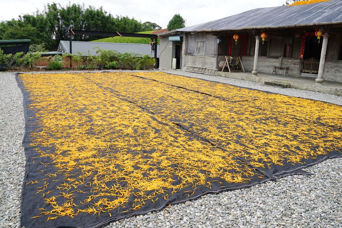【赤科山三景推薦】茅油氈紙屋頂曬金針 50年歷史半木造四合院 汪家古厝 - 第7張圖 【赤科山三景推薦】茅油氈紙屋頂曬金針 50年歷史半木造四合院 汪家古厝