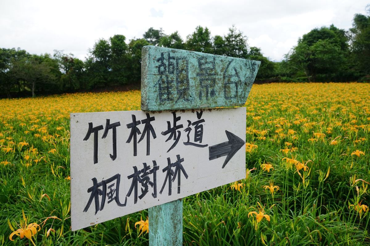 【赤科山三景推薦】茅油氈紙屋頂曬金針 50年歷史半木造四合院 汪家古厝 - 第12張圖 【赤科山三景推薦】茅油氈紙屋頂曬金針 50年歷史半木造四合院 汪家古厝