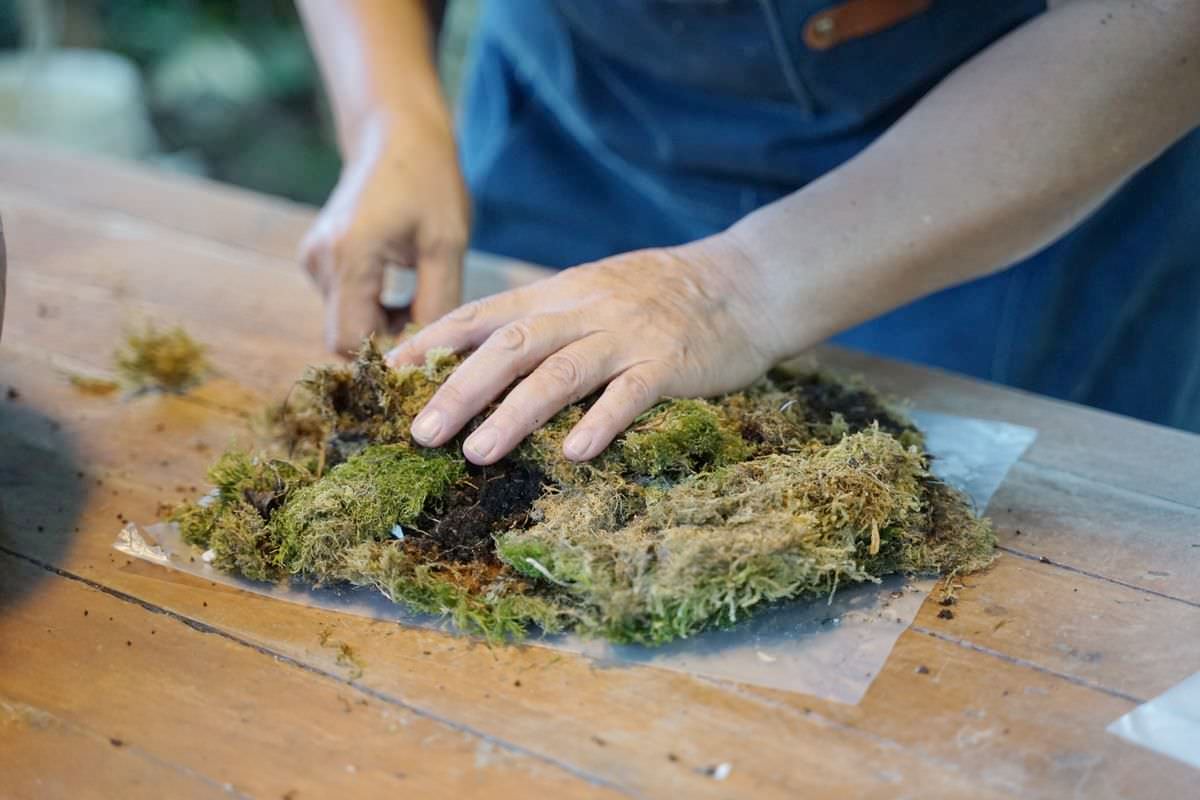 【赤科山美食餐廳推薦】金科花無菜單料理 多肉苔球手作DIY體驗 赤科山加蜜園 - 第32張圖 【赤科山美食餐廳推薦】金科花無菜單料理 多肉苔球手作DIY體驗 赤科山加蜜園