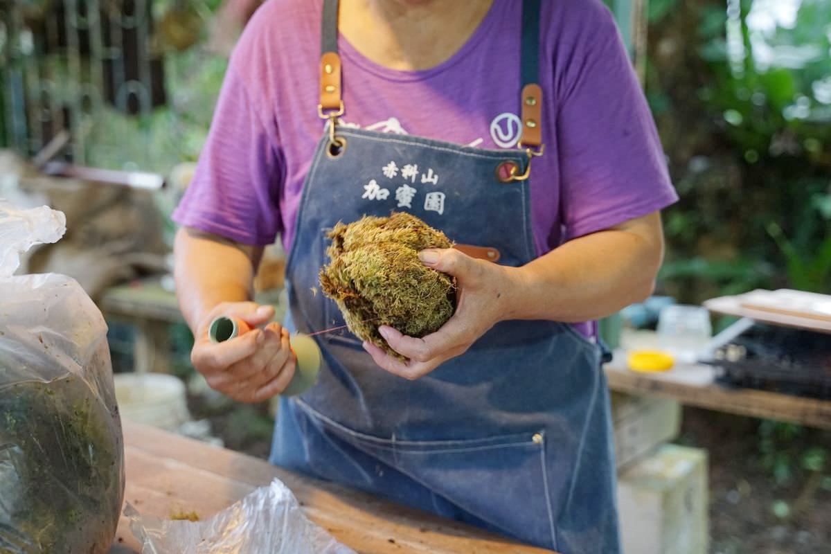 【赤科山美食餐廳推薦】金科花無菜單料理 多肉苔球手作DIY體驗 赤科山加蜜園 - 第34張圖 【赤科山美食餐廳推薦】金科花無菜單料理 多肉苔球手作DIY體驗 赤科山加蜜園