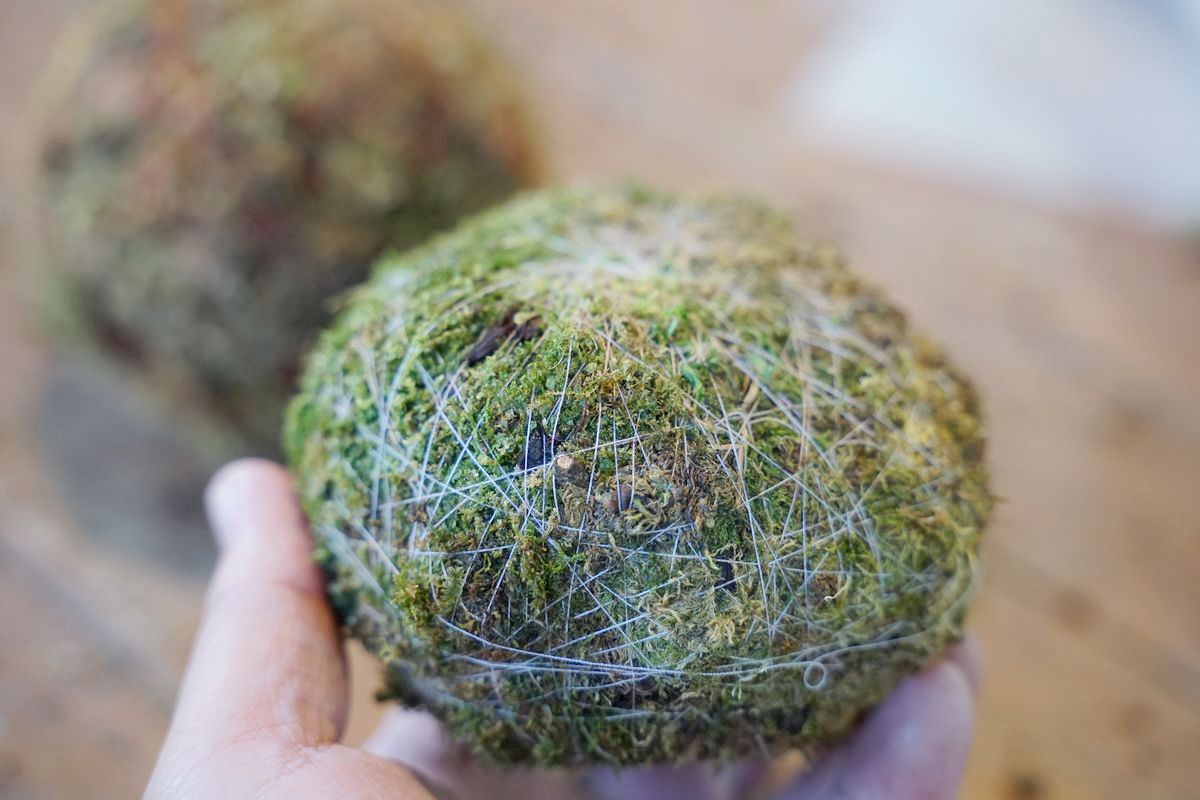 【赤科山美食餐廳推薦】金科花無菜單料理 多肉苔球手作DIY體驗 赤科山加蜜園 - 第35張圖 【赤科山美食餐廳推薦】金科花無菜單料理 多肉苔球手作DIY體驗 赤科山加蜜園