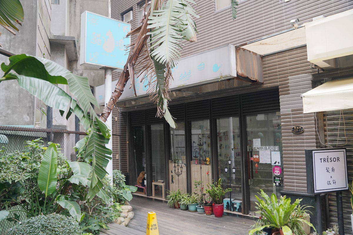 【貓塢 Meow Woo】中原大學寵物餐廳推薦/柏德社區貓咪咖啡廳 不限時飲料無限暢飲