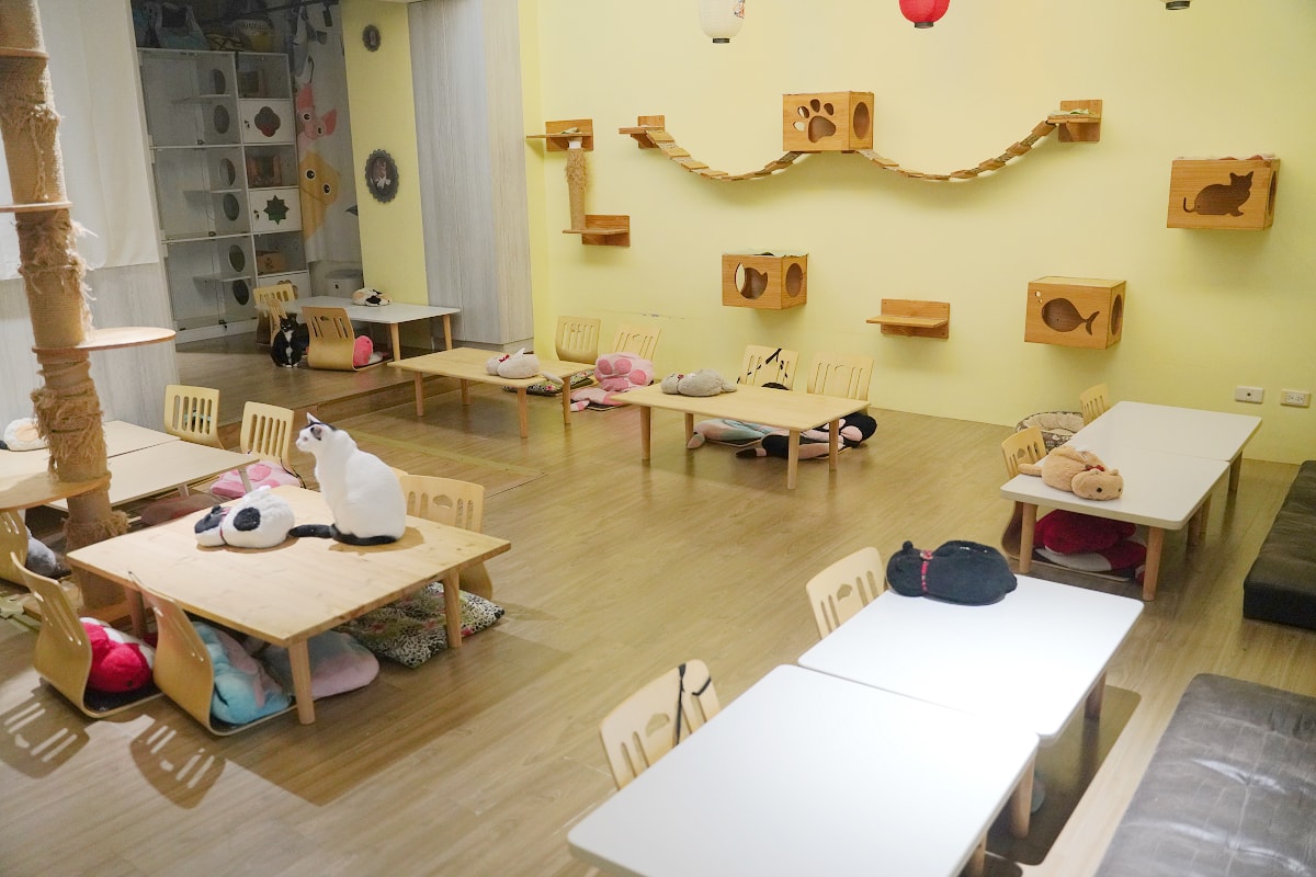 【貓塢 Meow Woo】中原大學寵物餐廳推薦/柏德社區貓咪咖啡廳 不限時飲料無限暢飲 - 第4張圖 【貓塢 Meow Woo】中原大學寵物餐廳推薦/柏德社區貓咪咖啡廳 不限時飲料無限暢飲
