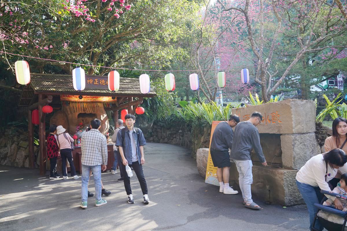 【九族櫻花祭】日本櫻花協會海外唯一認證賞櫻名所 櫻花樹下春櫻饗宴 九族文化村