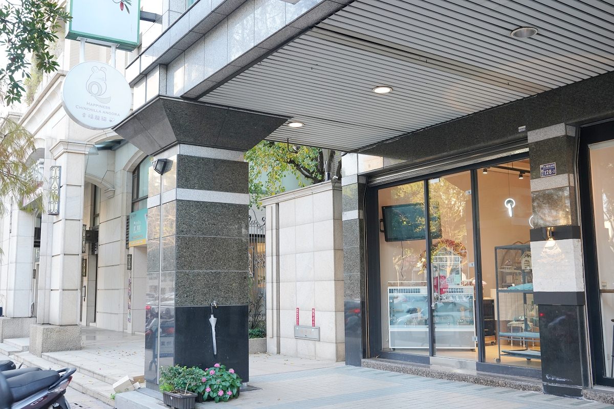 【幸福龍貓寵物專賣店】合法申請輸入嚴謹健檢檢疫 專業龍貓專賣店 台中幸福龍貓專賣店參觀心得