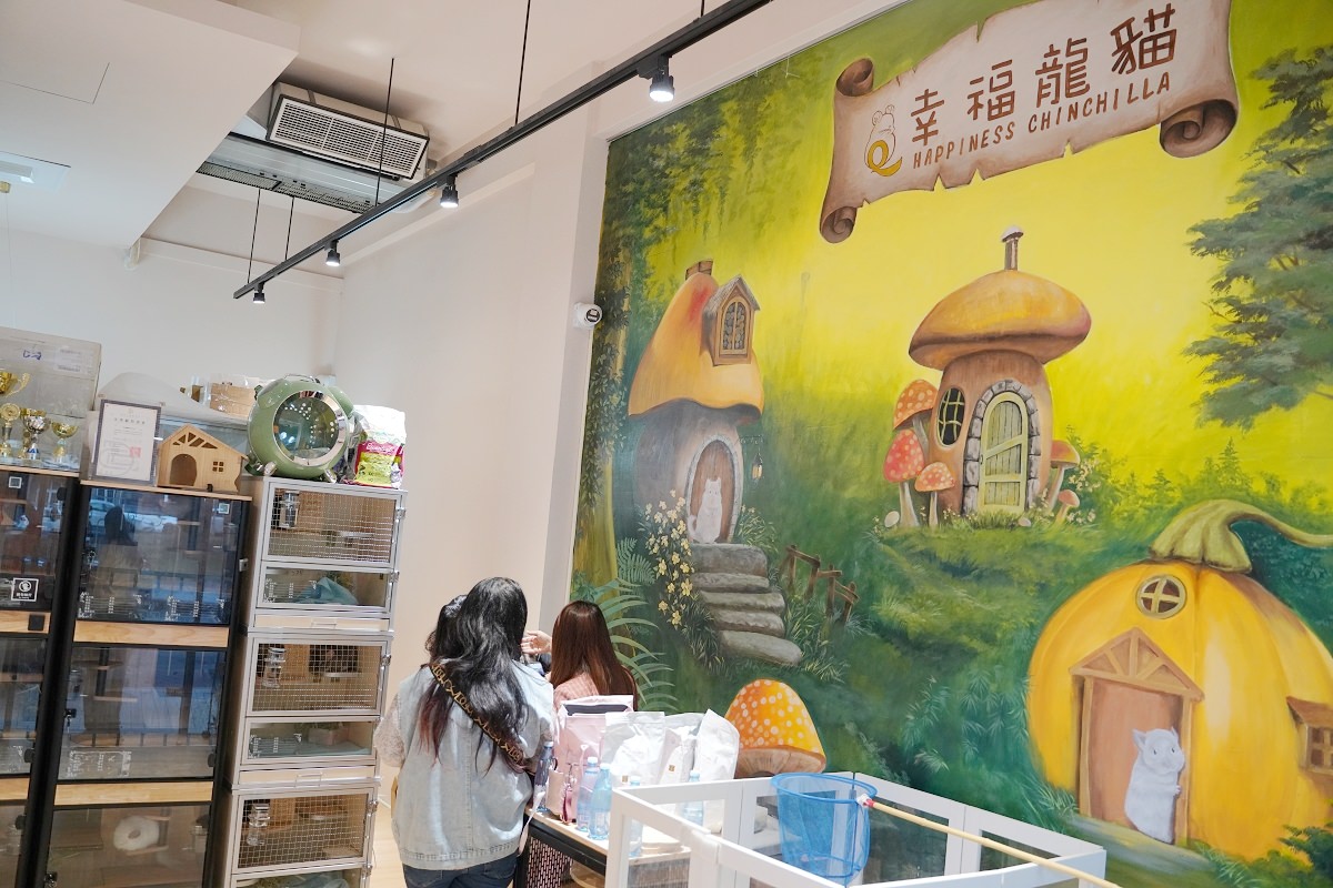 【幸福龍貓寵物專賣店】合法申請輸入嚴謹健檢檢疫 專業龍貓專賣店 台中幸福龍貓專賣店參觀心得