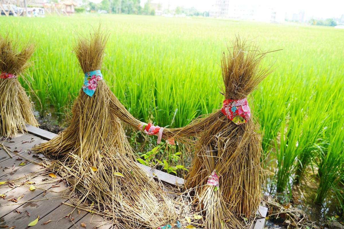 【桃園八德免費玩水景點推薦】桃園午時水免費取水好選擇 可洗衣/取水/泡腳/戲水 桃園八德霄裡石母娘娘浣衣池