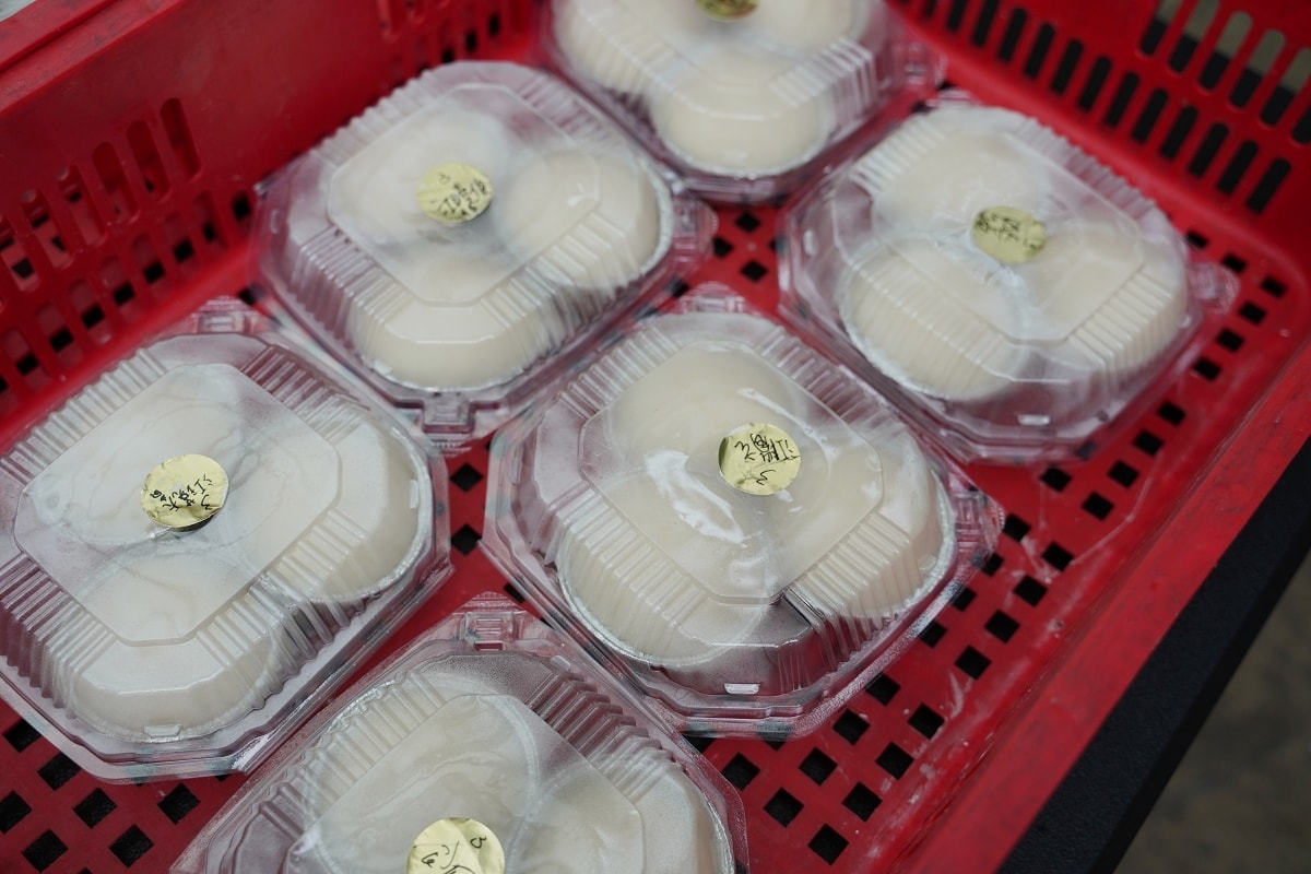 【桃園龍岡歌酒節】忠貞新村夏日節慶歌酒節 期間限定酒食市集+打歌表演+歌酒節手作DIY體驗