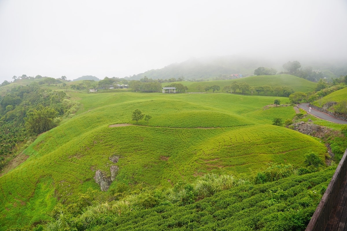 【富里六十石山賞花景點推薦】賞金針花第一站黃花亭 富里六十石山伯公福德祠 台灣小瑞士看可愛小恐龍 - 第7張圖 【富里六十石山賞花景點推薦】賞金針花第一站黃花亭 富里六十石山伯公福德祠 台灣小瑞士看可愛小恐龍
