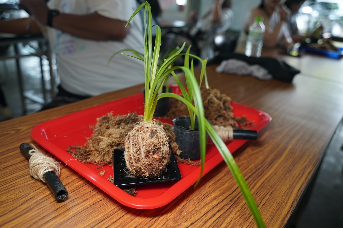 【花蓮富里民宿推薦】富里六十石山住宿好選擇 金針花苔蘚球DIY手作 德森有機農莊 - 第9張圖 【花蓮富里民宿推薦】富里六十石山住宿好選擇 金針花苔蘚球DIY手作 德森有機農莊