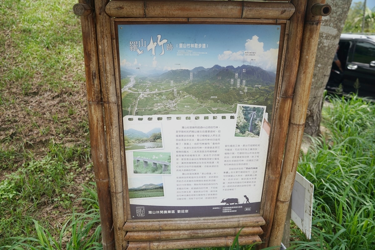 【富里六十石山金針花季一日遊程推薦】雄獅✖富里鄉農會 獨家金針忘憂之旅 六人成行羅山村竹林步道竹杖體驗
