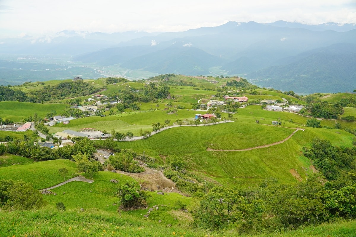 【富里六十石山賞花景點推薦】賞金針花第一站黃花亭 富里六十石山伯公福德祠 台灣小瑞士看可愛小恐龍 - 第18張圖 【富里六十石山賞花景點推薦】賞金針花第一站黃花亭 富里六十石山伯公福德祠 台灣小瑞士看可愛小恐龍
