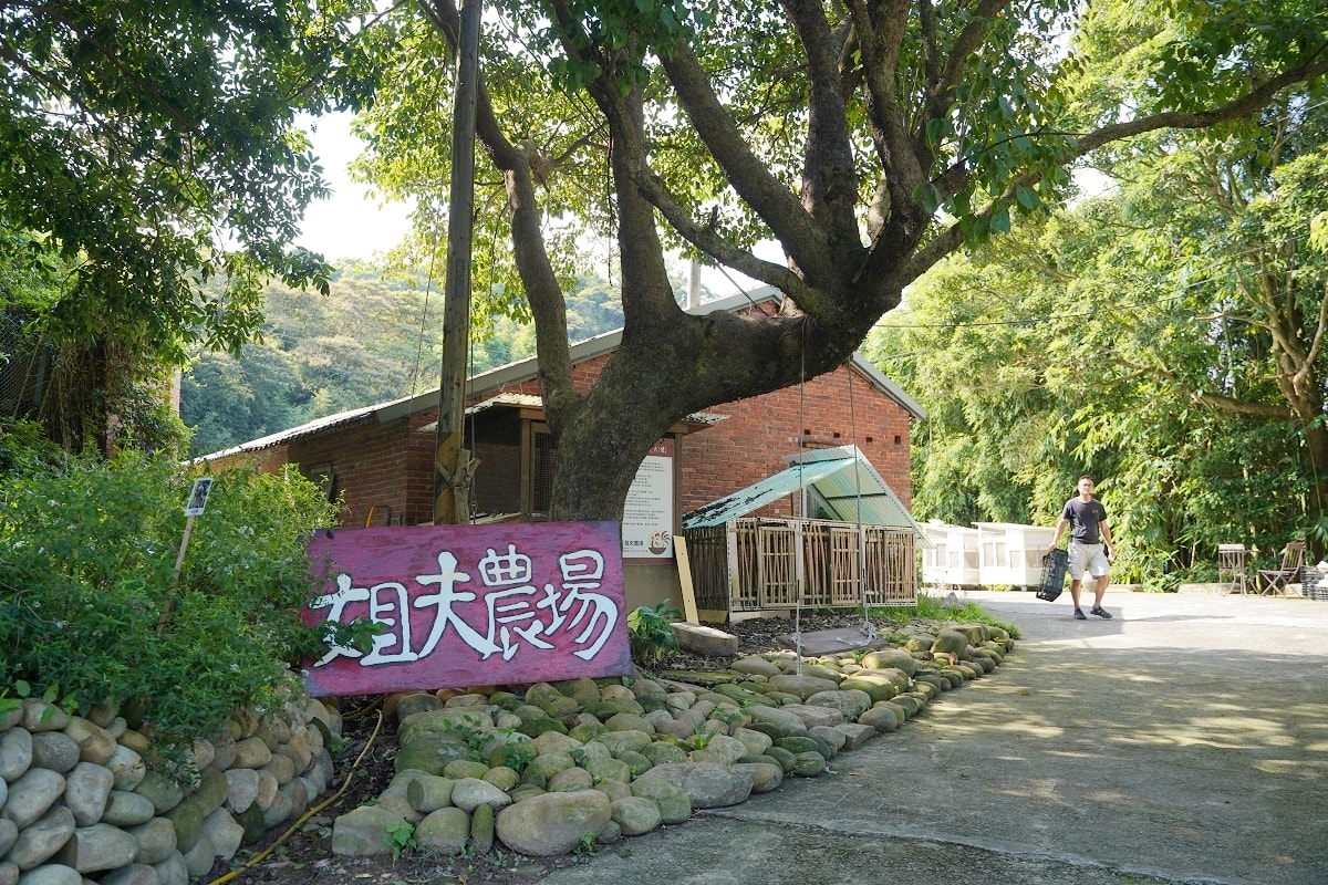 【桃園龍潭親子農場推薦】全台首創在家農事體驗城市養雞推廣 綠竹茶碗蒸手作DIY 姐夫農場