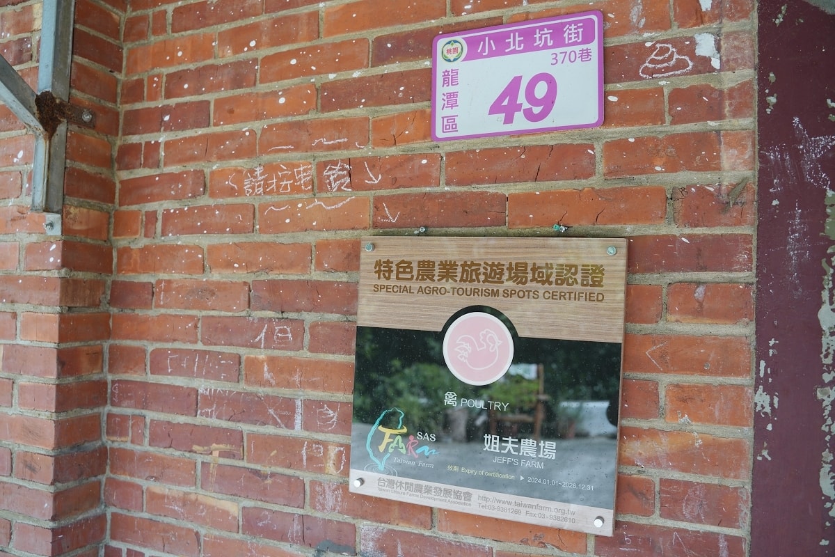 【桃園龍潭親子農場推薦】全台首創在家農事體驗城市養雞推廣 綠竹茶碗蒸手作DIY 姐夫農場
