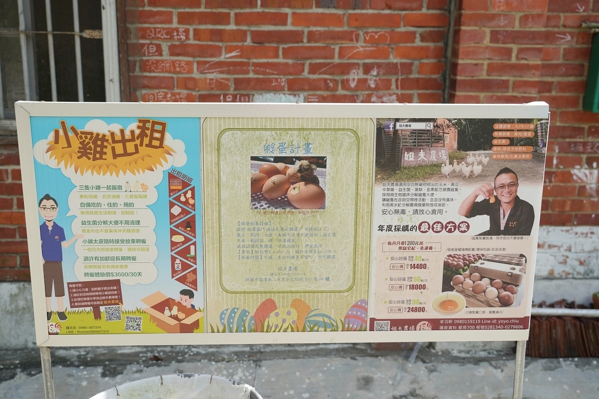 【桃園龍潭親子農場推薦】全台首創在家農事體驗城市養雞推廣 綠竹茶碗蒸手作DIY 姐夫農場