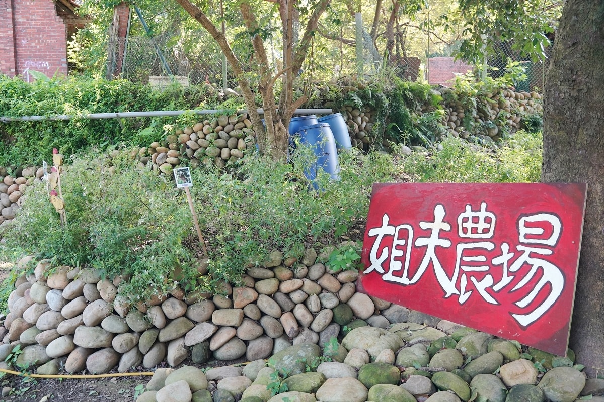 【桃園龍潭親子農場推薦】全台首創在家農事體驗城市養雞推廣 綠竹茶碗蒸手作DIY 姐夫農場
