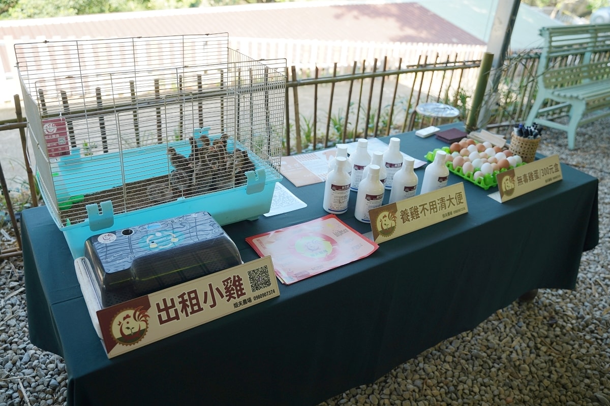 【桃園龍潭親子農場推薦】全台首創在家農事體驗城市養雞推廣 綠竹茶碗蒸手作DIY 姐夫農場