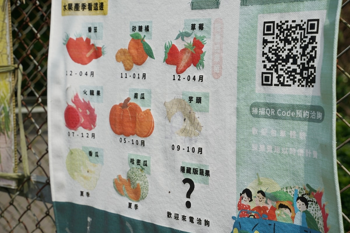 【澢滴水紅龍果園】龍潭三洽水觀光自採果園 一年四季自產自銷當季水果