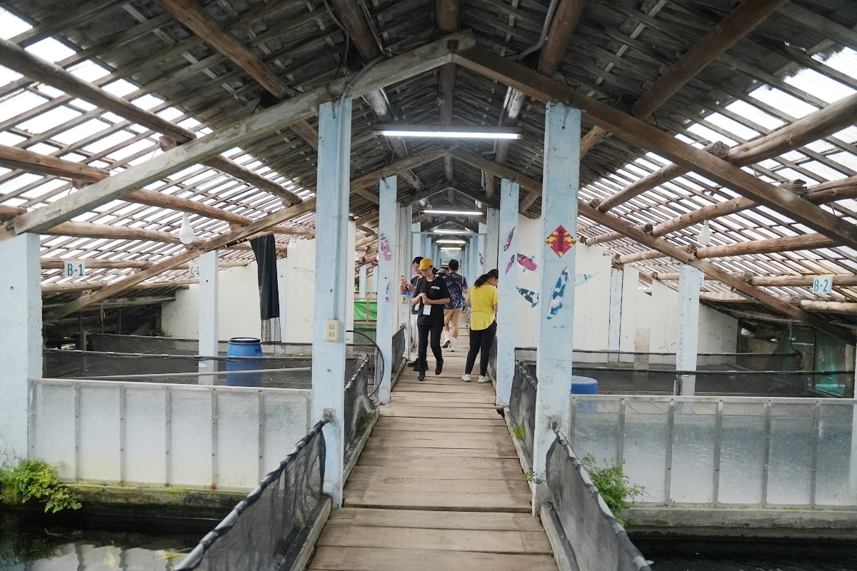 【龍潭三洽水景點推薦】佳河錦鯉園餵魚趣 繞山花手作DIY喝下午茶 三和青創基地 - 第4張圖 【龍潭三洽水景點推薦】佳河錦鯉園餵魚趣 繞山花手作DIY喝下午茶 三和青創基地