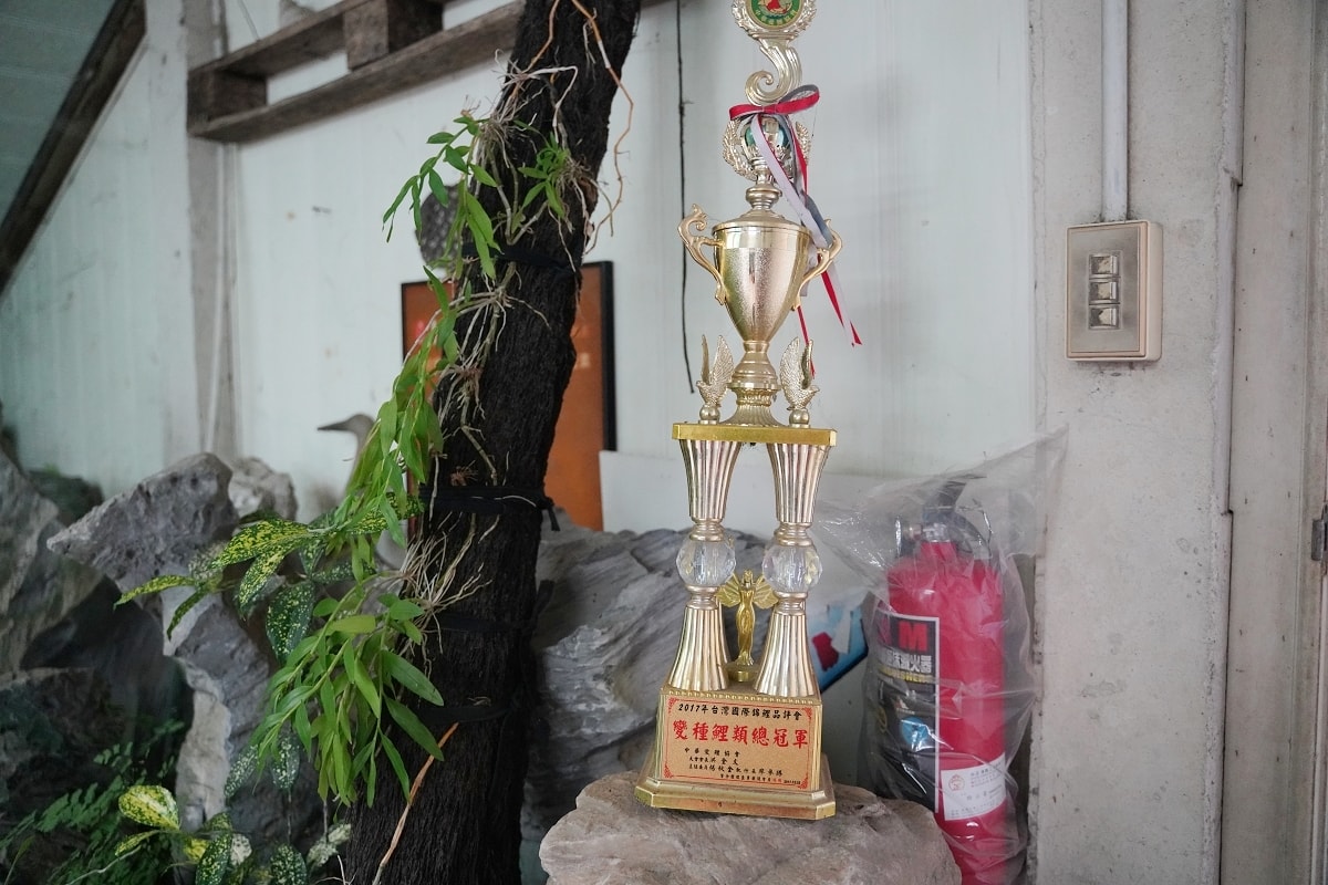 【龍潭三洽水景點推薦】佳河錦鯉園餵魚趣 繞山花手作DIY喝下午茶 三和青創基地 - 第7張圖 【龍潭三洽水景點推薦】佳河錦鯉園餵魚趣 繞山花手作DIY喝下午茶 三和青創基地