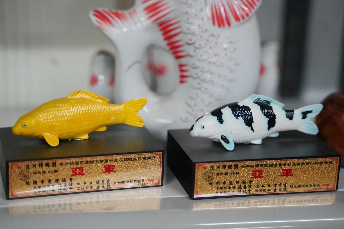 【龍潭三洽水景點推薦】佳河錦鯉園餵魚趣 繞山花手作DIY喝下午茶 三和青創基地 - 第8張圖 【龍潭三洽水景點推薦】佳河錦鯉園餵魚趣 繞山花手作DIY喝下午茶 三和青創基地