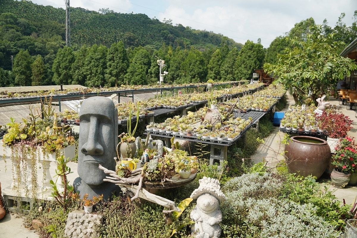 【龍潭三洽水景點推薦】佳河錦鯉園餵魚趣 繞山花手作DIY喝下午茶 三和青創基地 - 第10張圖 【龍潭三洽水景點推薦】佳河錦鯉園餵魚趣 繞山花手作DIY喝下午茶 三和青創基地
