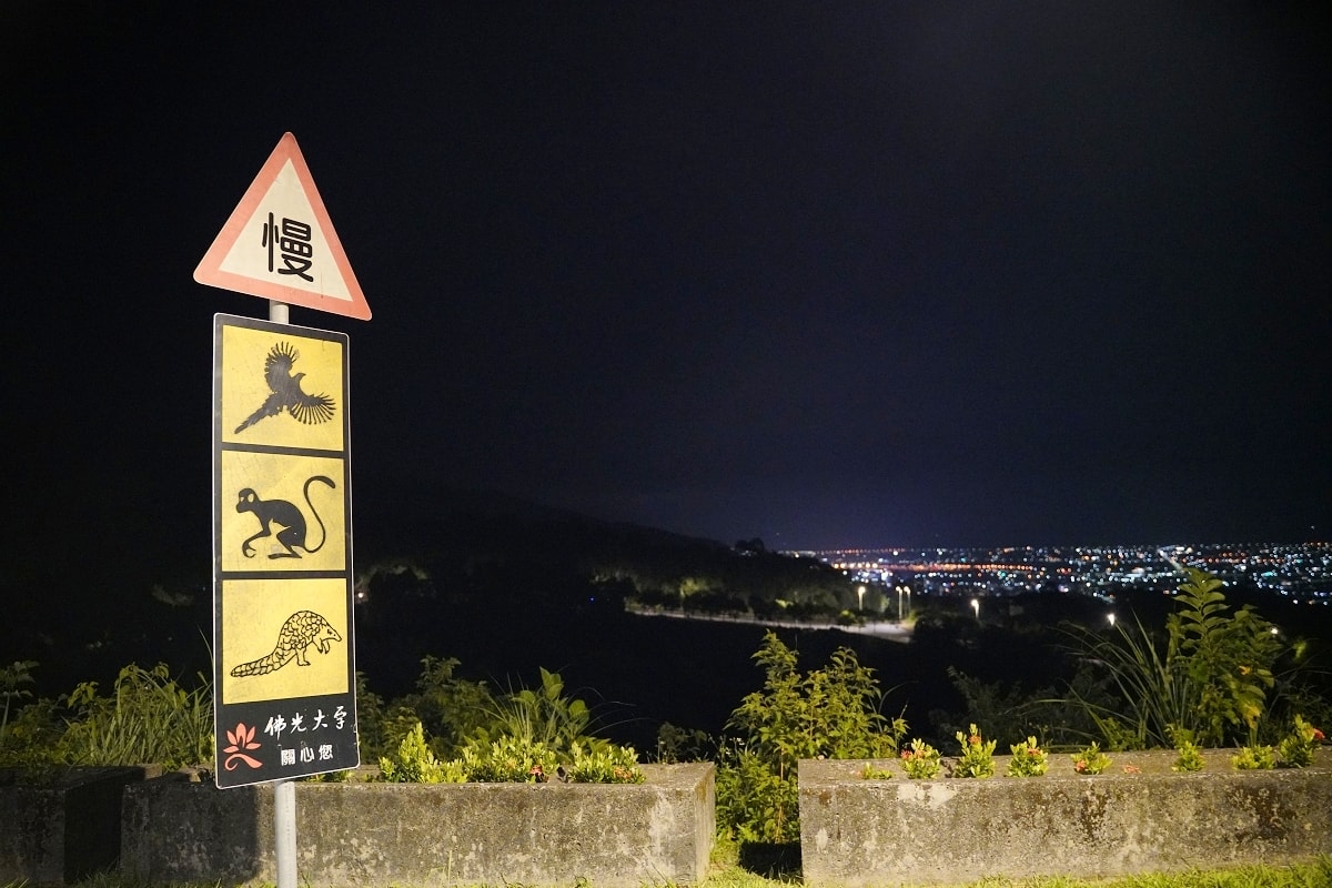 【佛光大學美食推薦】宜蘭礁溪百萬夜景咖啡餐車 宜蘭寵物友善素食美味餐點 CIRRUSCAFE 雲起咖啡