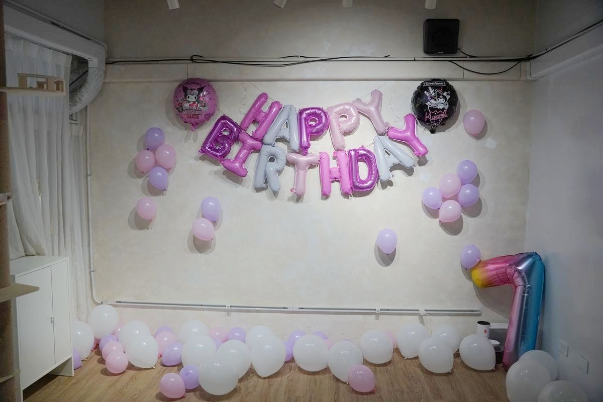 【中原大學貓咪咖啡廳推薦】中壢生日派對包場好選擇 貓奴必訪店貓超級多 喵宅MeowHouse - 第12張圖 【中原大學貓咪咖啡廳推薦】中壢生日派對包場好選擇 貓奴必訪店貓超級多 喵宅MeowHouse