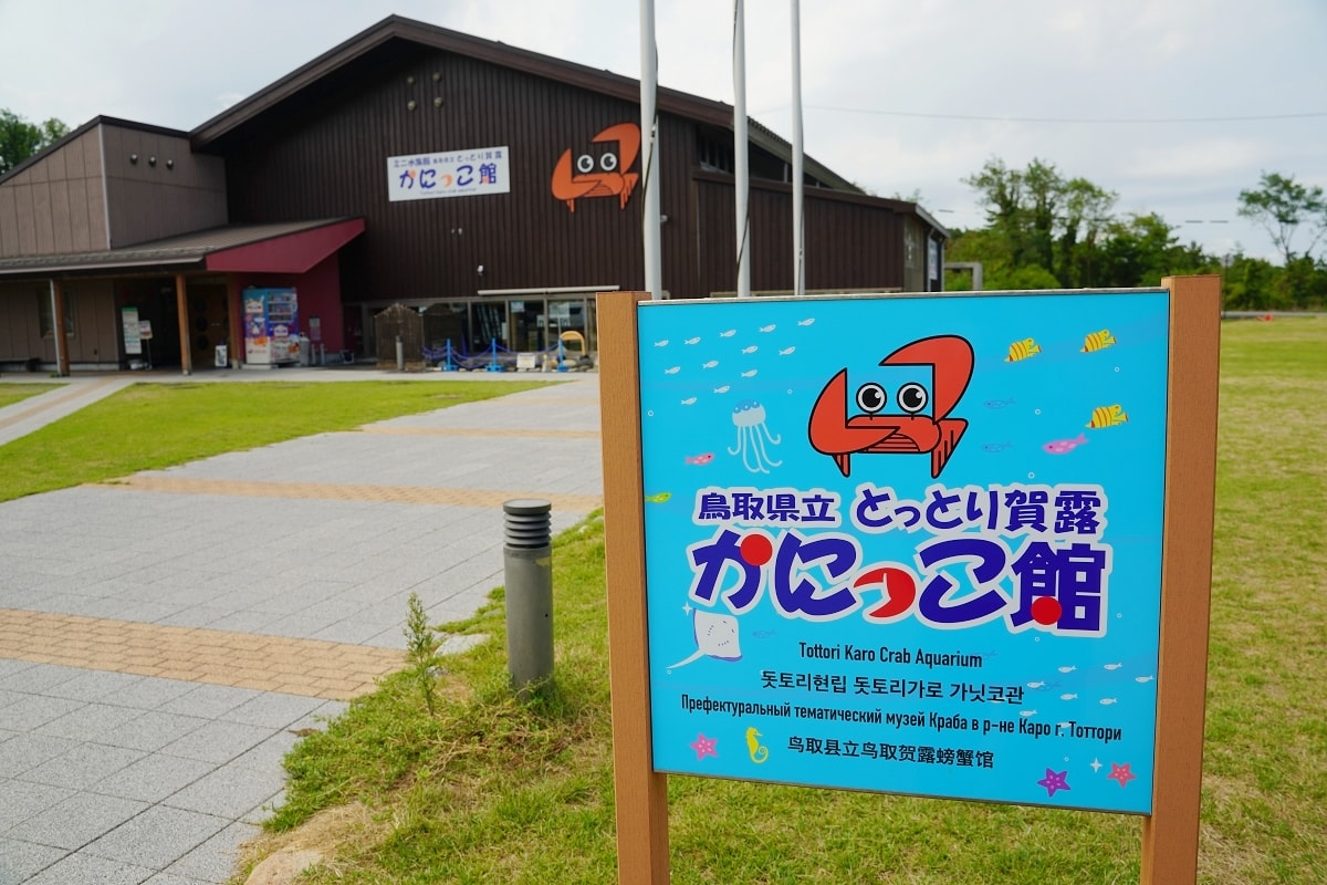 【鳥取親子景點推薦】鳥取賀露市場免費室內景點 螃蟹主題水族館 鳥取縣立鳥取賀露螃蟹兒童博物館(鳥取県立とっとり賀露かにっこ館)