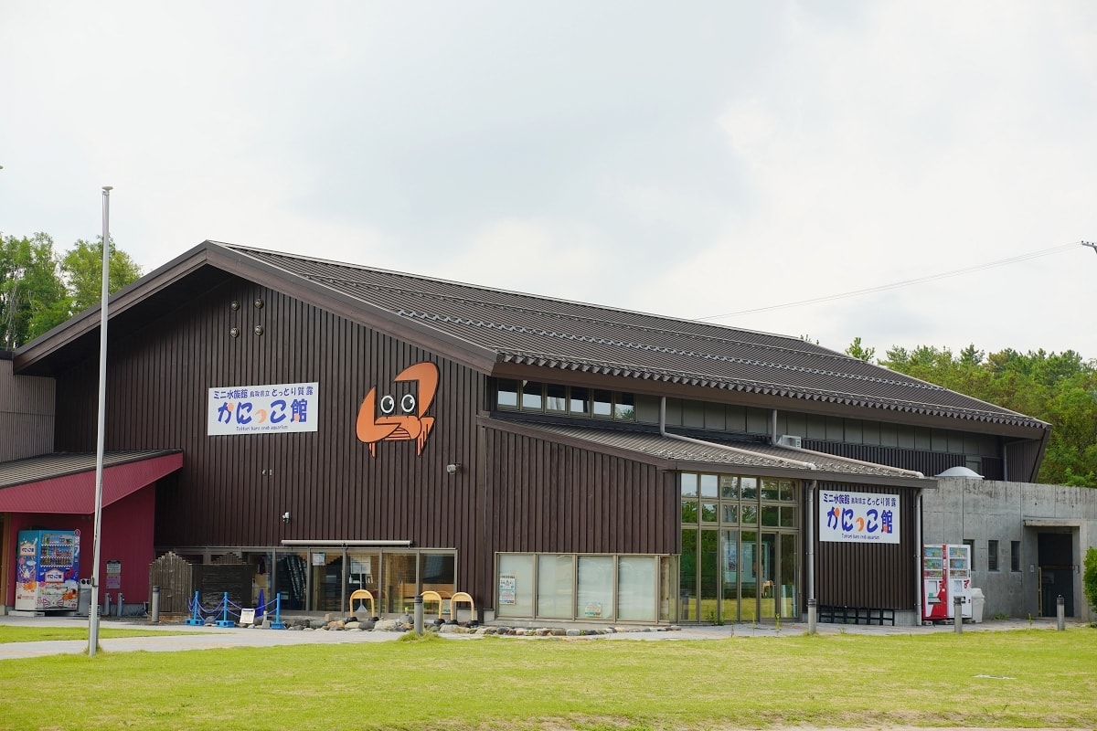 【鳥取親子景點推薦】鳥取賀露市場免費室內景點 螃蟹主題水族館 鳥取縣立鳥取賀露螃蟹兒童博物館(鳥取県立とっとり賀露かにっこ館)