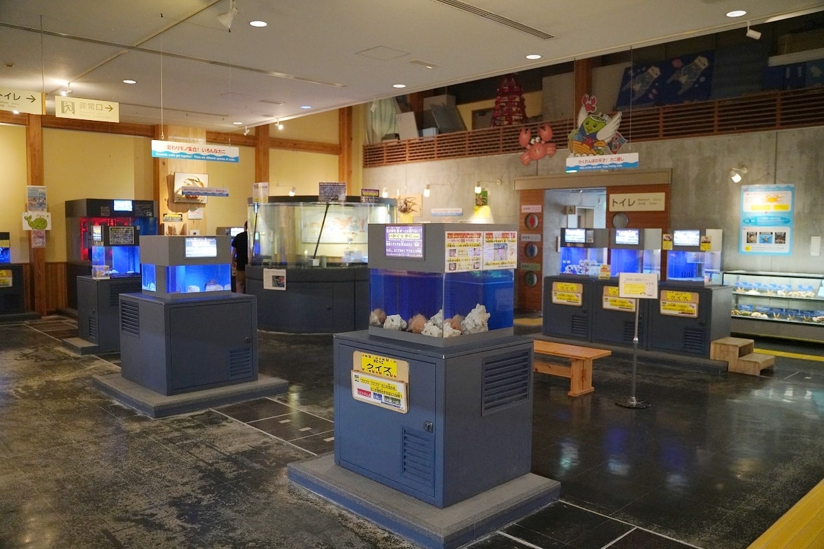 【鳥取親子景點推薦】鳥取賀露市場免費室內景點 螃蟹主題水族館 鳥取縣立鳥取賀露螃蟹兒童博物館(鳥取県立とっとり賀露かにっこ館)
